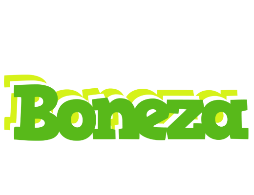 Boneza picnic logo