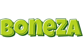 Boneza summer logo