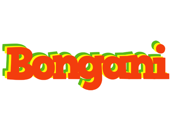 Bongani bbq logo
