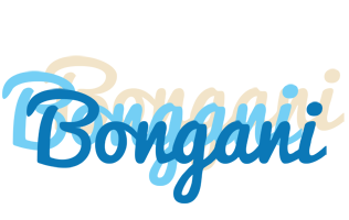 Bongani breeze logo
