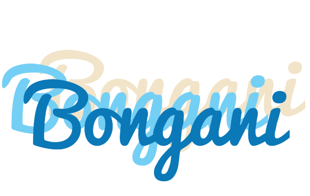 Bongani breeze logo