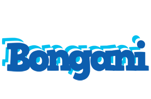 Bongani business logo