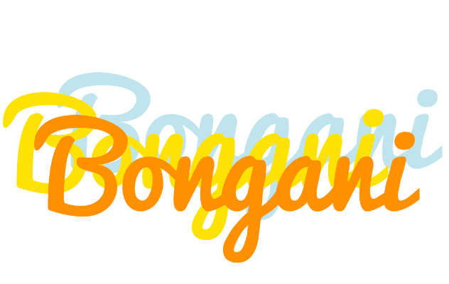 Bongani energy logo
