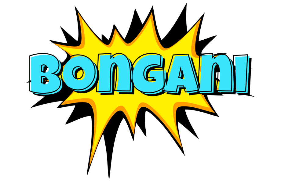 Bongani indycar logo