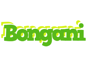 Bongani picnic logo