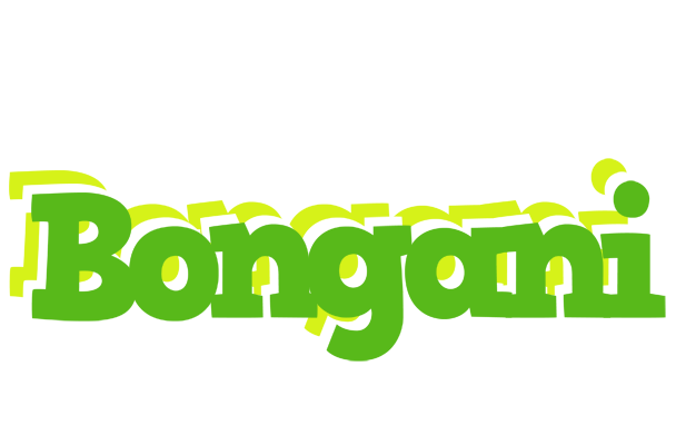 Bongani picnic logo