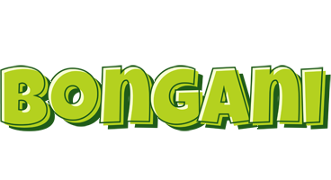 Bongani summer logo