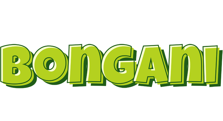 Bongani summer logo