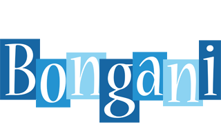 Bongani winter logo