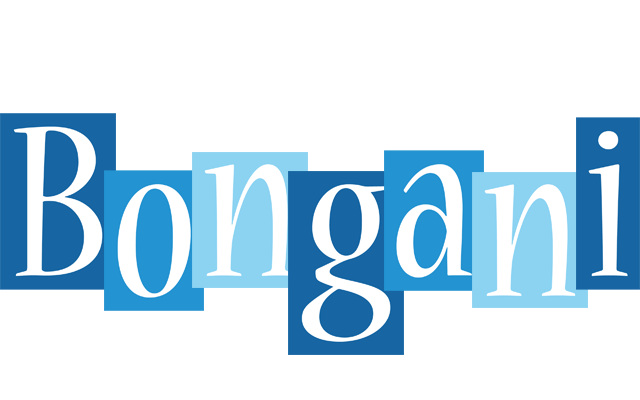 Bongani winter logo