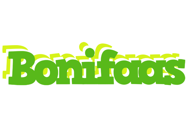 Bonifaas picnic logo