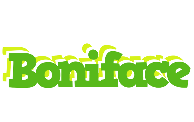 Boniface picnic logo