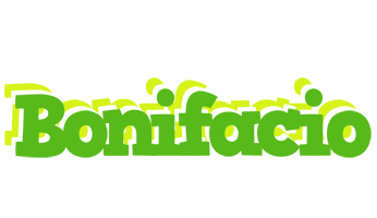 Bonifacio picnic logo