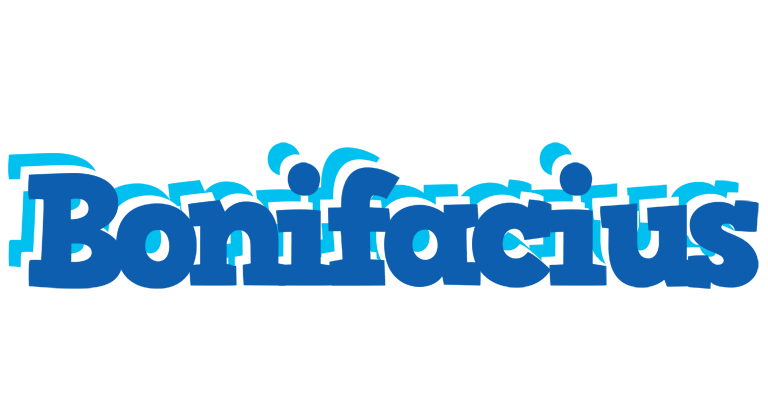 Bonifacius business logo