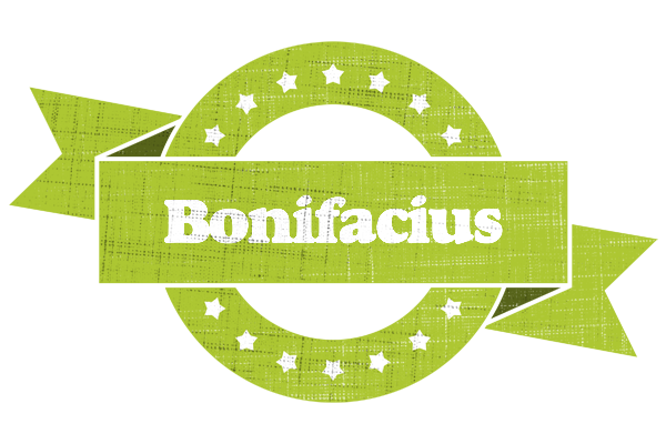 Bonifacius change logo
