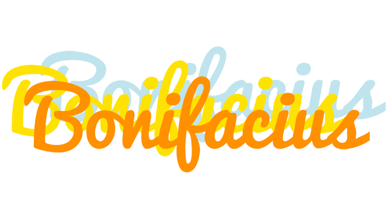 Bonifacius energy logo