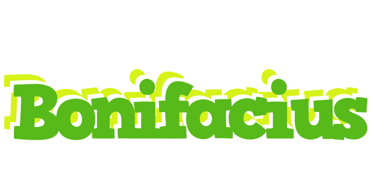 Bonifacius picnic logo