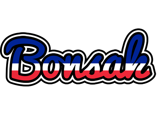 Bonsak france logo