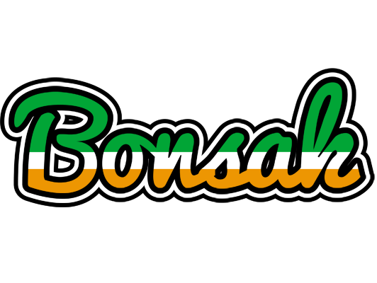 Bonsak ireland logo
