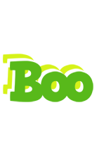 Boo picnic logo