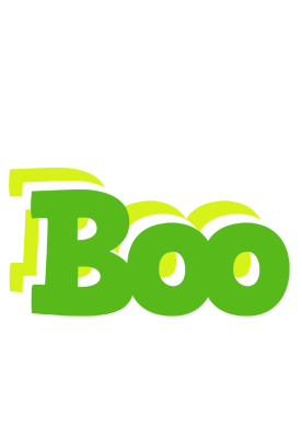 Boo picnic logo