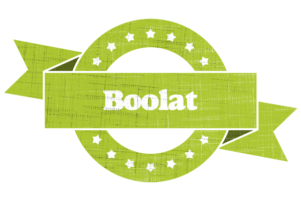 Boolat change logo