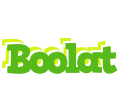 Boolat picnic logo