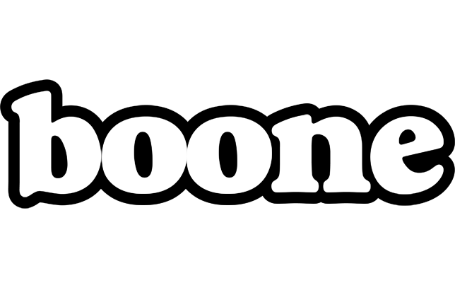Boone panda logo