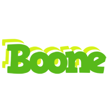 Boone picnic logo