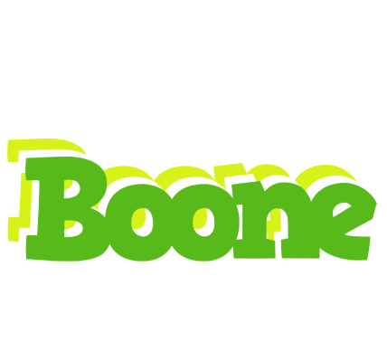 Boone picnic logo
