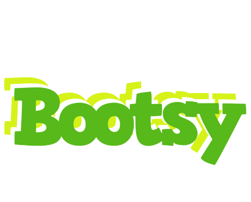 Bootsy picnic logo