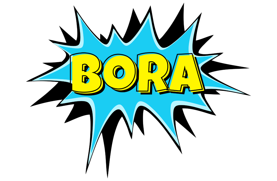 Bora amazing logo