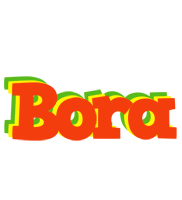 Bora bbq logo