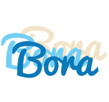 Bora breeze logo