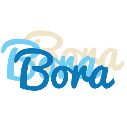Bora breeze logo