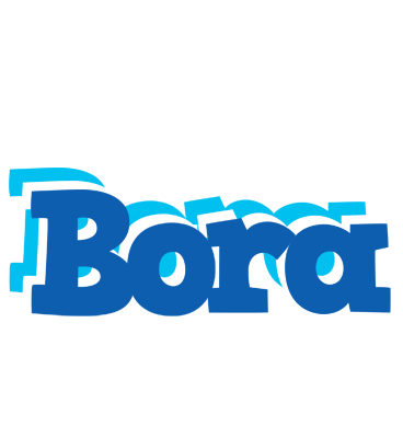 Bora business logo
