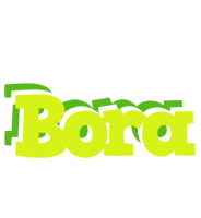 Bora citrus logo