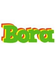 Bora crocodile logo