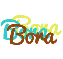 Bora cupcake logo