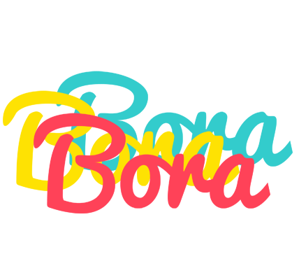 Bora disco logo