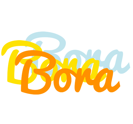 Bora energy logo
