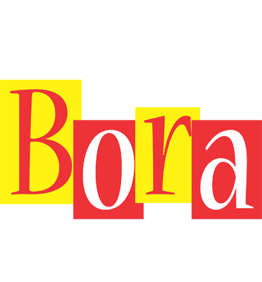 Bora errors logo