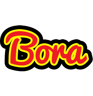 Bora fireman logo
