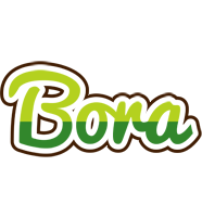 Bora golfing logo