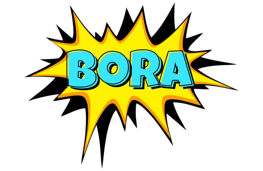 Bora indycar logo