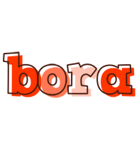 Bora paint logo