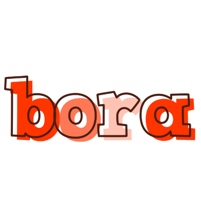 Bora paint logo