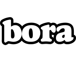 Bora panda logo