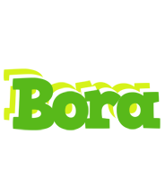 Bora picnic logo