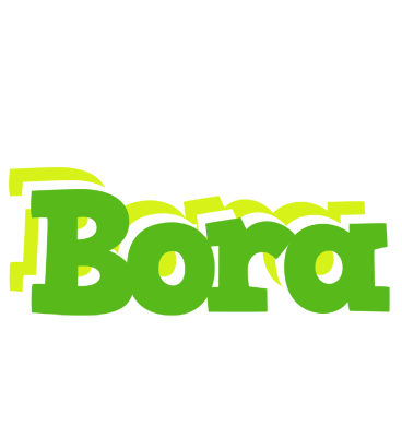 Bora picnic logo
